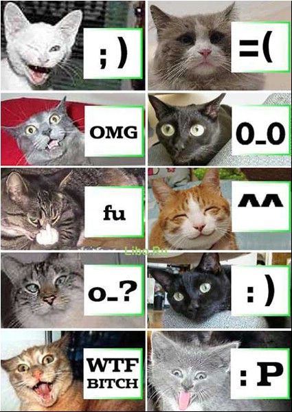 d.jpg