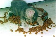 image007.jpg
