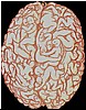 iconsbrain.jpg