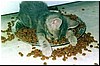 image007.jpg